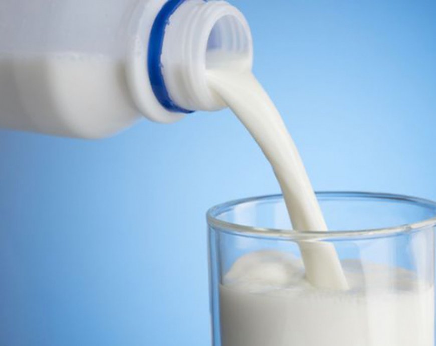 Everything About Milk. It's Types, Benefits, and Nutrition