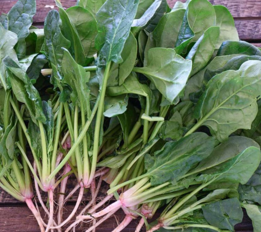 Spinach to increase hemoglobin