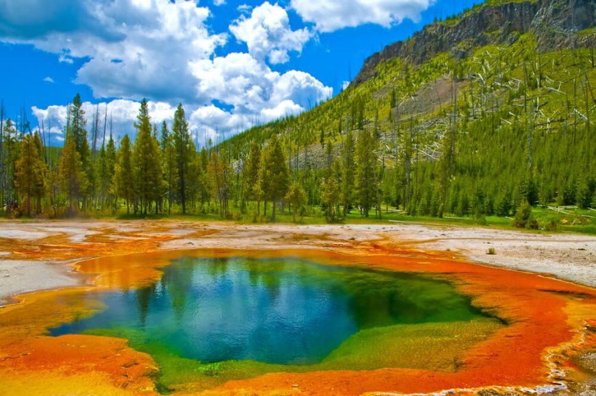 Yellowstone National Park, USA