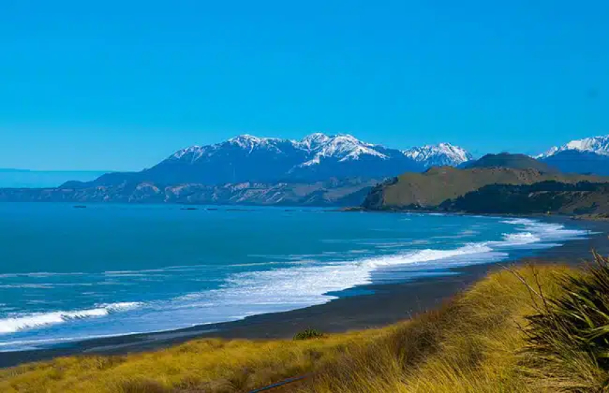 Kaikoura: Marine Life Paradise