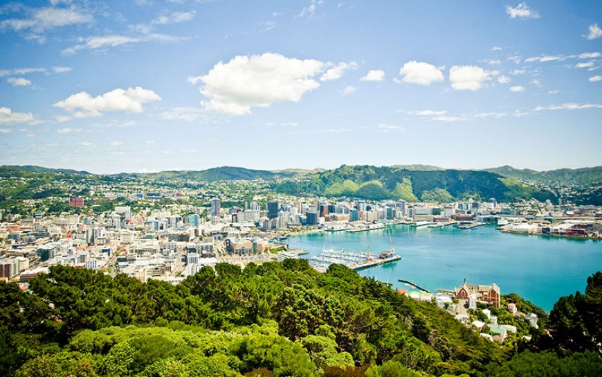 Wellington: The Coolest Little Capital