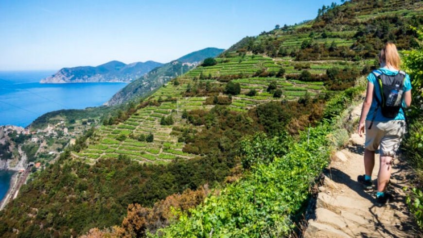 Cinque Terre Trails, Italy